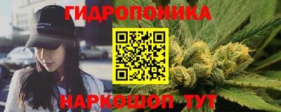 прущие грибы Гусь-Хрустальный