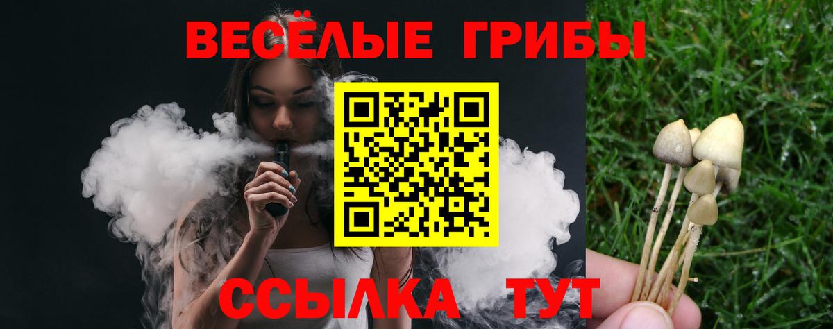 Псилоцибиновые грибы прущие грибы Нижнеудинск